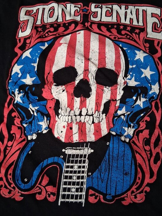 Gildan Other - Stone Senate Band Shirt 2XL Black American Flag Skull Southern Rock Music Guitar